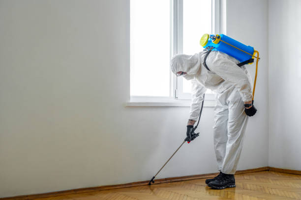 Reliable Corinth, TX Pest Control Solutions